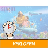 Entreeticket SEA LIFE Blankenberge