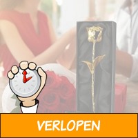 24krt Gouden Roos