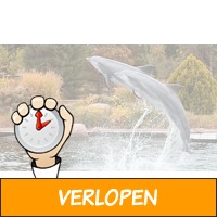 Dagje Dolfinarium Harderwijk