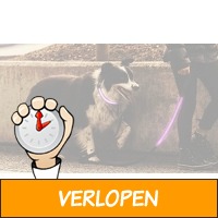 Halsband en riem voor honden