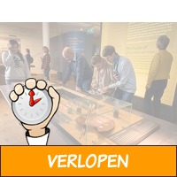 Entreeticket voor Vermeer Centrum Delft