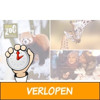 Entree voor GaiaZOO & Winterweken