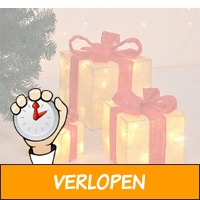 Set van 3 cadeautjes voor decoratie