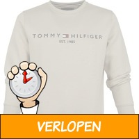 Tommy Hilfiger trui