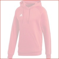 Adidas Core Training hoodie