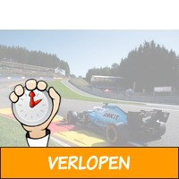 Veiling: 2 staanplaatsen Formule 1 GP kwalificatie Belg..