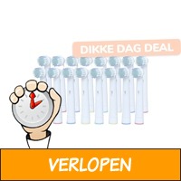 16 opzetborsteltjes