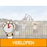 FLASHDEAL! Weekend of midweek op Vakantiepark Beekse Be..