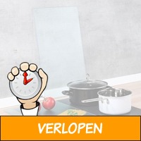 2 x afdekkookplaten van glas