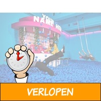 Entreeticket voor Youseum Amsterdam