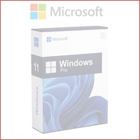 Microsoft Windows 11 Professional