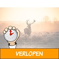 4 dagen Veluwe