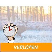 2, 3, 4 of 5 dagen op de Veluwe