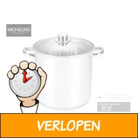 Michelino RVS soeppan 14 Liter