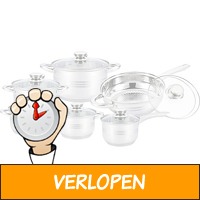 SwissPro 1250-Pannenset - 12-delige set - RVS