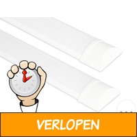 2 x FlinQ Batten met Samsung LED