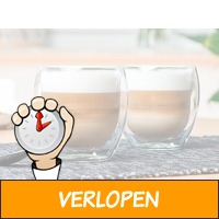 Dubbelwandige Cappuccino Glazen - Set van 2 - 250ml