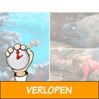 Entreeticket Zee Aquarium Bergen aan Zee