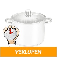 Michelino Soeppan - RVS - 10 Liter - Glazen Deksel