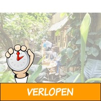 2 dagen op avontuur in een Jungle Cabana