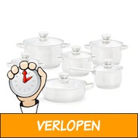 Magnani Pannenset - RVS - 12-delig