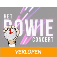 Eerste rang ticket voor Het Bowie Concert