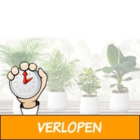 Kamerplanten set van 4