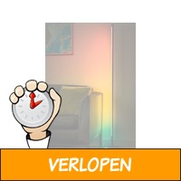 Flinq Xyro vloerlamp