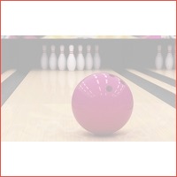 1 uur bowlen bij Bowling Mijdrecht