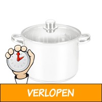 Michelino RVS soeppan 10 liter