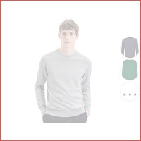 Seidensticker pullover