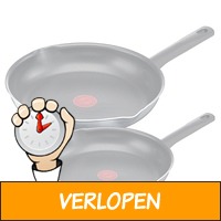 Tefal Family Day koekenpannenset 24 + 28 cm - set van..