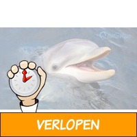 Entreeticket voor het Dolfinarium in Harderwijk