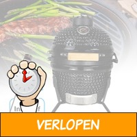 Kamado Egg BBQ met vleesthermometer