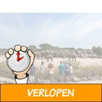 Weekend of midweek op Vakantiepark Dierenbos