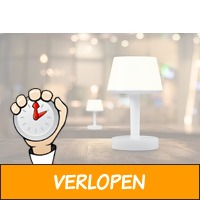 Veiling: LED-lamp met bluetooth-speaker van Dutch Origi..