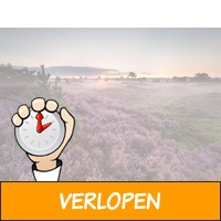 2 dagen Veluwe incl. Zwaluwhoeve