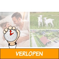 Overnachting(en) voor 2 + ontbijt in Pieterburen