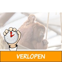 Dagticket voor de Kolner Zoo en het aquarium