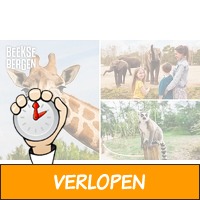 Entree Safaripark Beekse Bergen