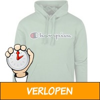 Champion hoodie