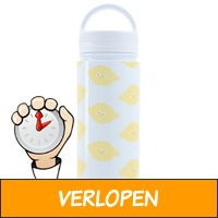 Isoleerfles 500ml rvs citroen