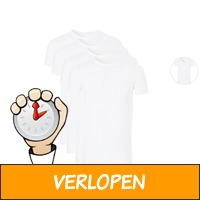 4 x Ten Cate Basic katoenen T-shirt