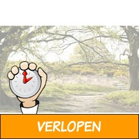 Genieten op de Veluwe