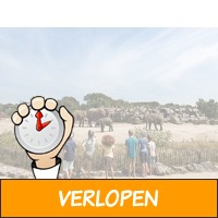 Verblijf een weekend of midweek op Vakantiepark Dierenb..