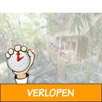 2 dagen in een Jungle Cabana op het Heijderbos