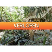 Traveldeal.nl: 2 dagen in een Jungle Cabana op het Heijderbos
