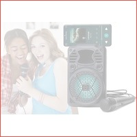 Mini karaoke machine