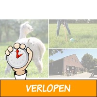 Alpaca-golf + meet & feed + drankje