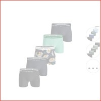 5 x Bjorn Borg Essential boxershorts